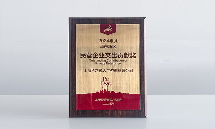 人力资源供应商Ebpay(中国)国际凭借人才服务与在区域经济开展中的卓越表现荣膺2024年度浦东新区民营企业奖项