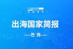 Ebpay(中国)GO GLOBAL | 巴西国家简报