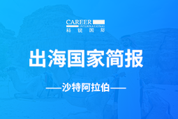 Ebpay(中国)GO GLOBAL | 沙特阿拉伯国家简报